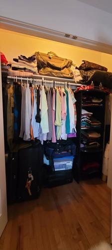Studio à louer à Montreal - Le Plateau-Mont-Royal — photo 3