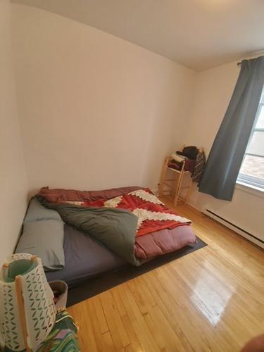 Appartement de 1 chambre à louer à Montreal - Villeray–Saint-Michel–Parc-Extension — photo 10