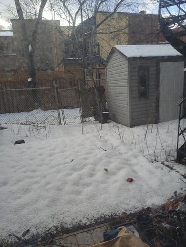 Appartement de 4 chambres à louer à Montreal - Le Plateau-Mont-Royal — photo 5