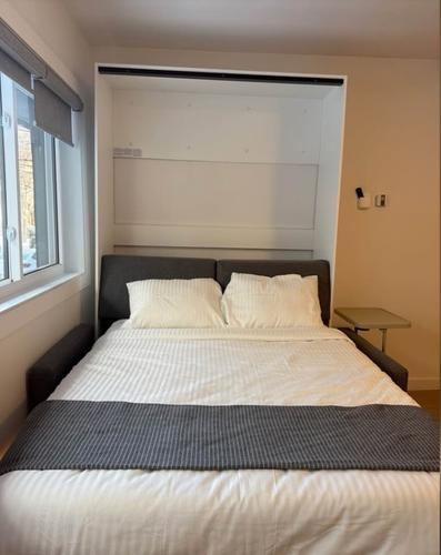 Appartement de 1 chambre à louer à Montreal - Le Plateau-Mont-Royal — photo 3