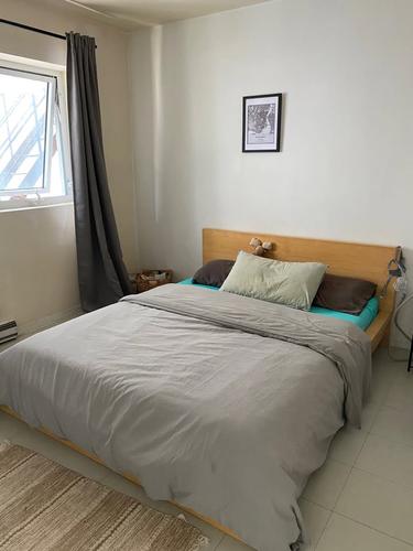 1 bedroom apartment for rent in Montreal - Le Plateau-Mont-Royal — photo 11