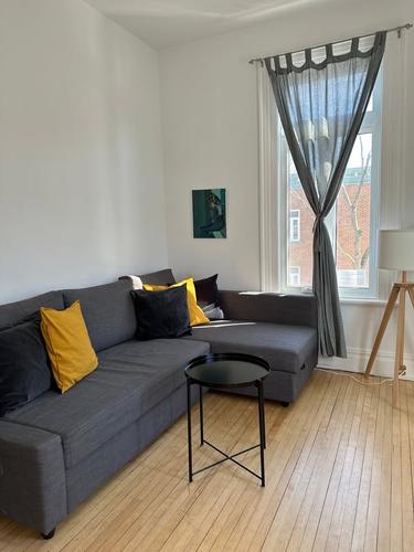 Appartement de 1 chambre à louer à Québec - La Cité-Limoilou — photo 2