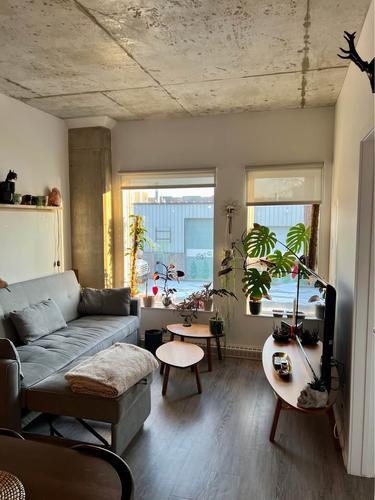 Appartement de 1 chambre à louer à Montreal - Rosemont–La Petite-Patrie — photo 2
