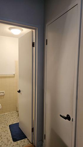 Appartement de 1 chambre à louer à Québec - La Cité-Limoilou — photo 9