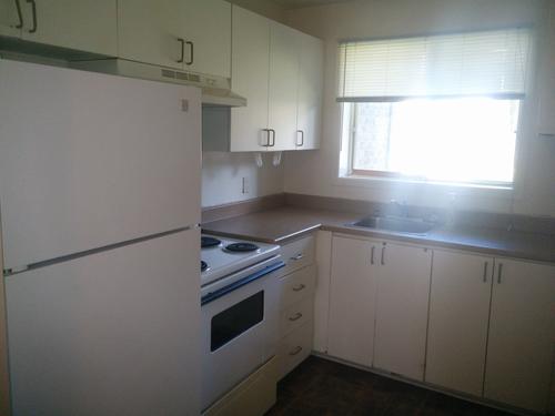 1 bedroom apartment for rent in Gatineau — photo 2