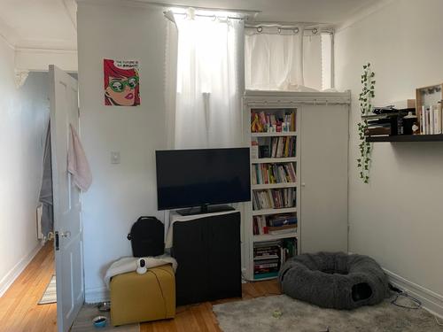 Appartement de 1 chambre à louer à Montreal - Le Plateau-Mont-Royal — photo 4