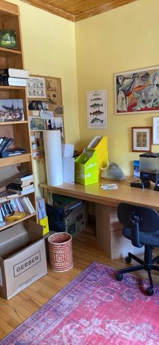 1 bedroom apartment for rent in Québec - La Cité-Limoilou — photo 4