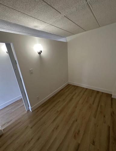 Appartement de 1 chambre à louer à Gatineau — photo 3
