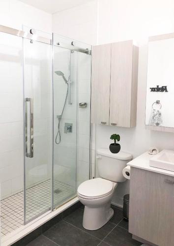 1 bedroom apartment for rent in Montreal - Le Plateau-Mont-Royal — photo 5