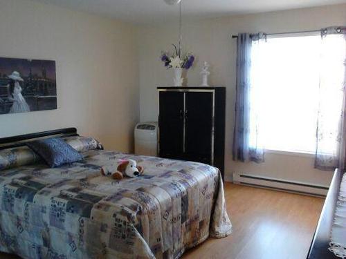 Appartement de 2 chambres à louer à Québec - La Cité-Limoilou — photo 7