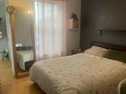 Appartement de 1 chambre à louer à Montreal - Le Plateau-Mont-Royal — photo 3