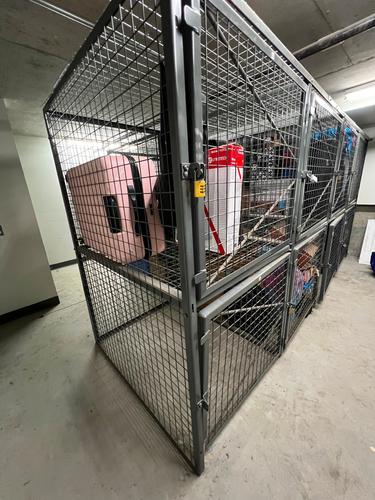 Appartement de 1 chambre à louer à Montreal - Rosemont–La Petite-Patrie — photo 10
