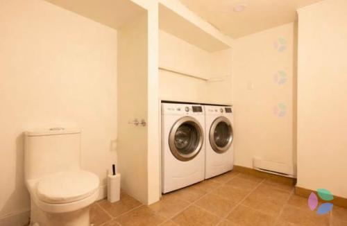 Appartement de 1 chambre à louer à Sherbrooke — photo 9