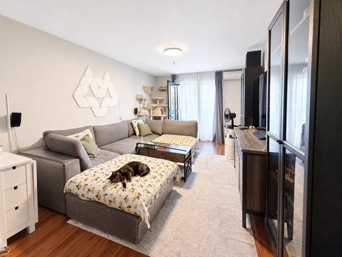 1 bedroom apartment for rent in Laval — photo 2