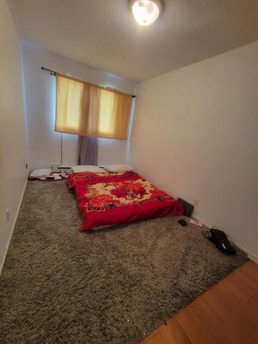 2 bedrooms apartment for rent in Gatineau — photo 12