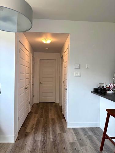Appartement de 1 chambre à louer à Gatineau — photo 4