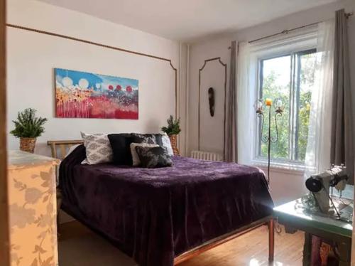 1 bedroom apartment for rent in Montreal - Le Plateau-Mont-Royal — photo 4
