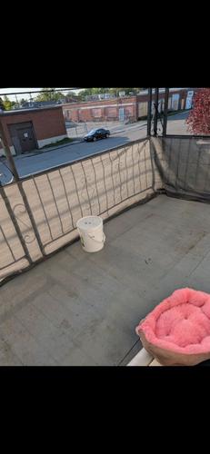 2 bedrooms apartment for rent in Sherbrooke — photo 2