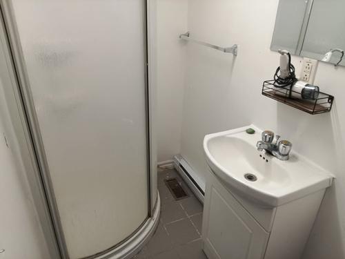 Appartement de 1 chambre à louer à Québec - La Cité-Limoilou — photo 2