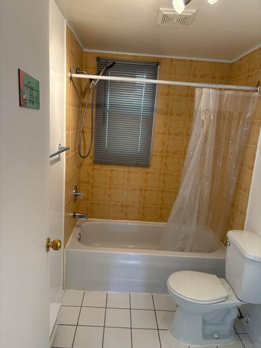 Appartement de 2 chambres à louer à Montreal - Rosemont–La Petite-Patrie — photo 10
