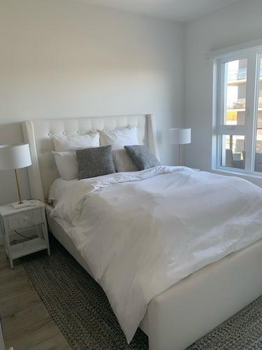 1 bedroom apartment for rent in Lévis — photo 6