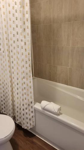 1 bedroom apartment for rent in Québec - La Cité-Limoilou — photo 7