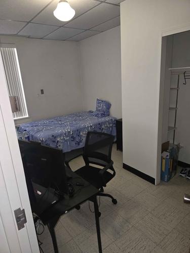 1 bedroom apartment for rent in Lévis — photo 3