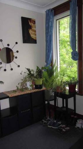 2 bedrooms apartment for rent in Montreal - Le Plateau-Mont-Royal — photo 4