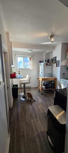 1 bedroom apartment for rent in Montreal - Le Plateau-Mont-Royal — photo 2