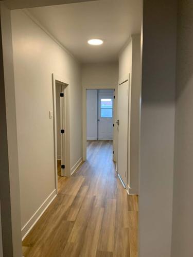 Appartement de 4 chambres à louer à Montreal - Le Plateau-Mont-Royal — photo 3