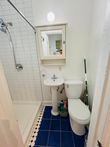 Appartement de 1 chambre à louer à Montreal - Le Plateau-Mont-Royal — photo 11