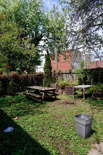 Appartement de 2 chambres à louer à Montreal - Rosemont–La Petite-Patrie — photo 14