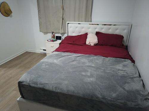 1 bedroom apartment for rent in Montreal - Villeray–Saint-Michel–Parc-Extension — photo 4
