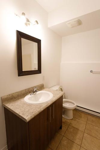 Appartement de 1 chambre à louer à Gatineau — photo 9