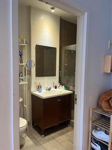 Studio for rent in Montreal - Le Plateau-Mont-Royal — photo 3