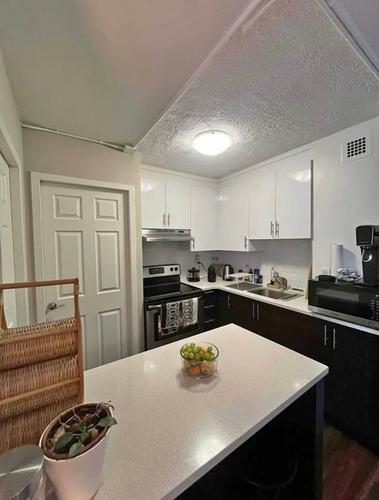 1 bedroom apartment for rent in Montreal - Le Plateau-Mont-Royal — photo 4