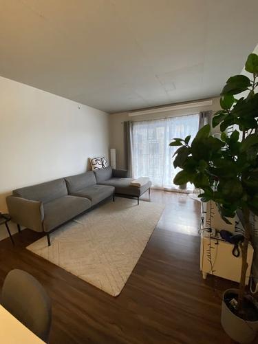 2 bedrooms apartment for rent in Québec - Sainte-Foy–Sillery–Cap-Rouge — photo 4