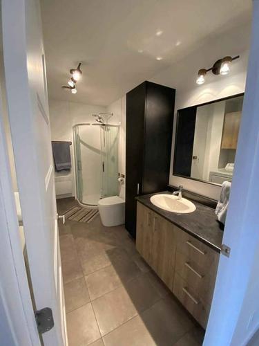 2 bedrooms apartment for rent in Sherbrooke — photo 10