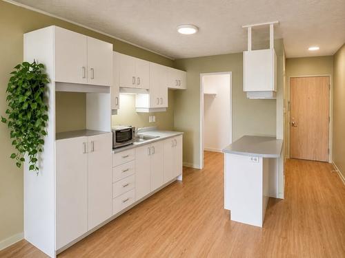 2 bedrooms apartment for rent in Sherbrooke — photo 2
