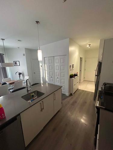 1 bedroom apartment for rent in Lévis — photo 2