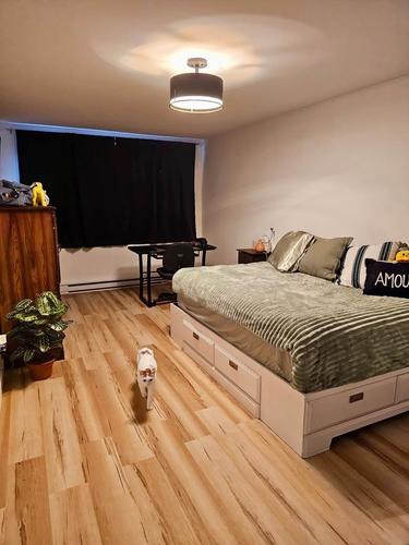 Appartement de 2 chambres à louer à Montreal - Rosemont–La Petite-Patrie — photo 9