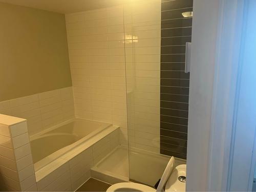 Appartement de 1 chambre à louer à Montreal - Ahuntsic-Cartierville — photo 7