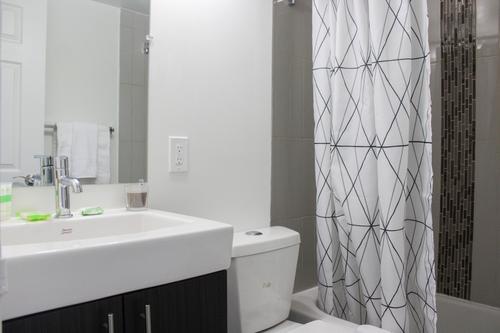 1 bedroom apartment for rent in Montreal - Le Plateau-Mont-Royal — photo 5