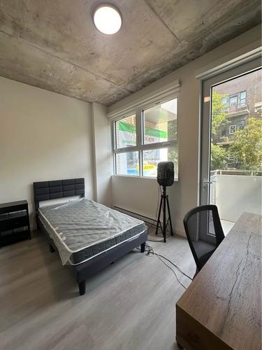 1 bedroom apartment for rent in Montreal - Le Plateau-Mont-Royal — photo 2