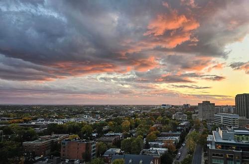 1 bedroom apartment for rent in Montreal - Le Plateau-Mont-Royal — photo 10
