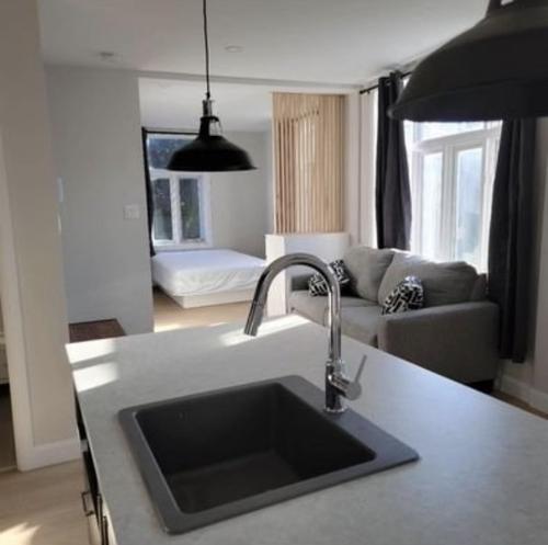 1 bedroom apartment for rent in Québec - La Cité-Limoilou — photo 6
