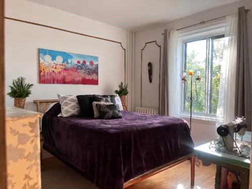 1 bedroom apartment for rent in Montreal - Le Plateau-Mont-Royal — photo 4