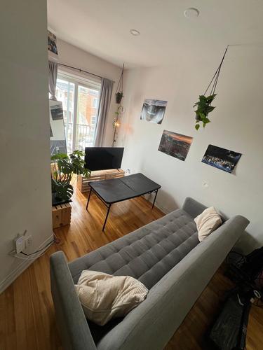 1 bedroom apartment for rent in Montreal - Villeray–Saint-Michel–Parc-Extension — photo 6