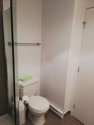 Appartement de 2 chambres à louer à Longueuil — photo 10