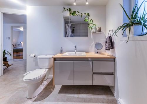Appartement de 2 chambres à louer à Québec - La Cité-Limoilou — photo 7